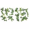 Ivy  - Wall Decals