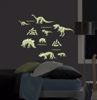 Dinosaurs Glow in the Dark Wall Art Kit