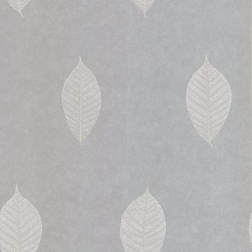 Malabar Light Grey Leaf