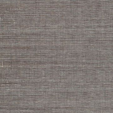 Show details for Daio Grey Grasscloth