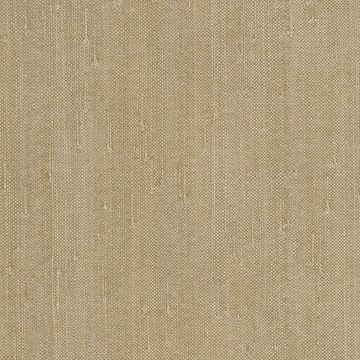 Show details for Rei Light Grey Grasscloth