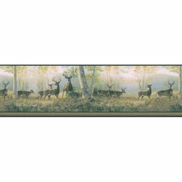 418B44341 Green Deer Border - Wild Deer Border - Brewster Wallpaper