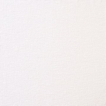 Show details for Tapestry Woven Texture Paintable