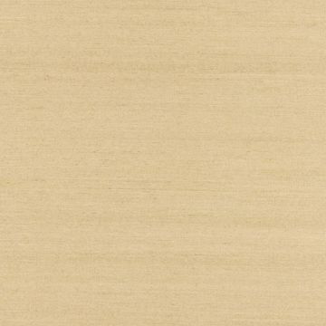 Show details for ShuFang Beige Grasscloth