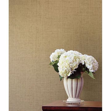 Show details for Xia Beige Grasscloth
