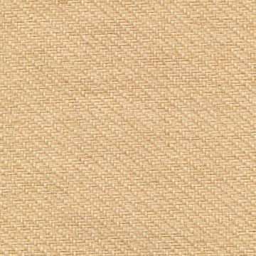 Show details for Tao Beige Grasscloth