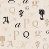 Manuscript Beige Letter Font