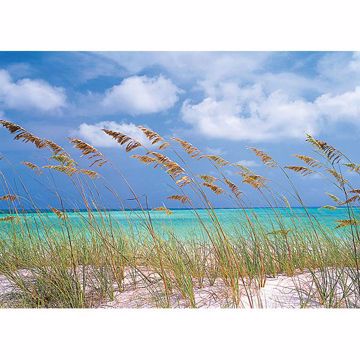 Show details for Ocean Breeze