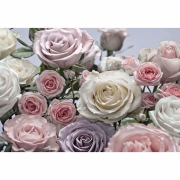 Show details for Floraison