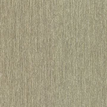 Ali Light Grey Twill Texture