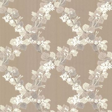 Delphia Brown Jasmine Trellis