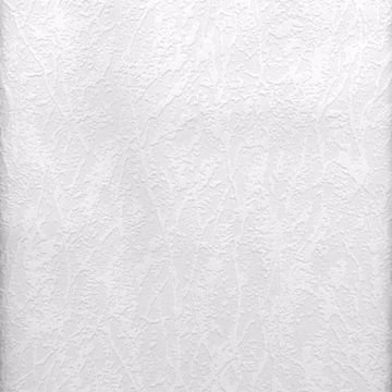 Show details for Splatter Paintable Plaster Texture