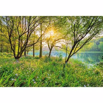 Show details for Spring Lake Wall Mural