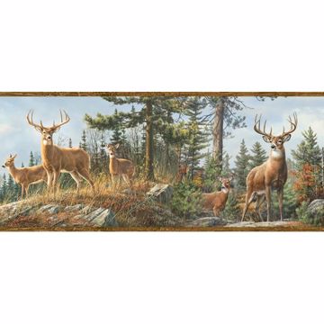 Garth Blue Whitetail Crest Portrait Border