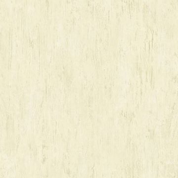 Beige Renaissance Texture