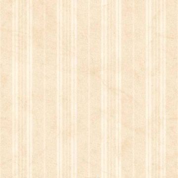 Amber Cream Farmhouse Alternating Stripe