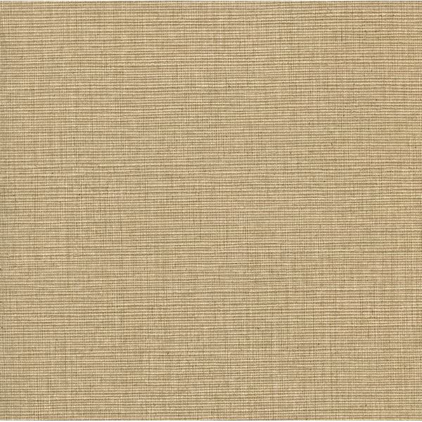 BT44053 Brown Savannah Wallpaper - Basic Textures 4 by Warner