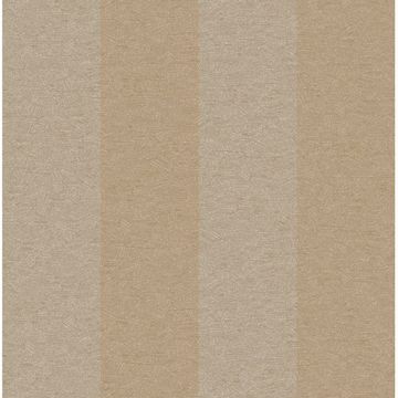 Brown Zeno Stripe