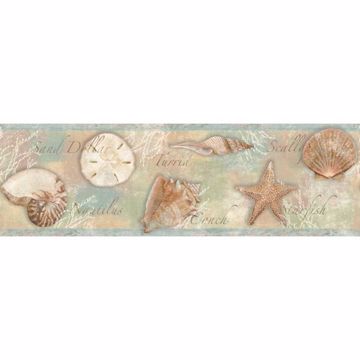 Brown Sea Shells  Border