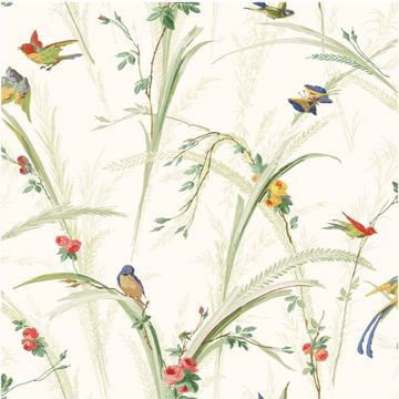 Show details for White Meadow Lark