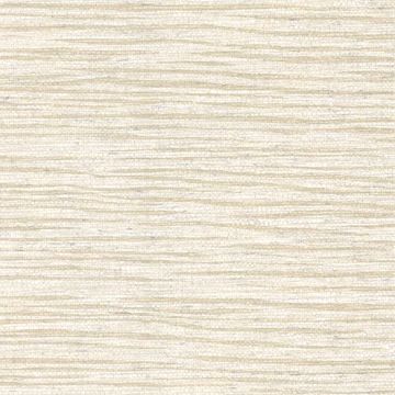 Allen Blue Faux Grasscloth