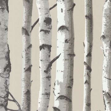 Show details for Irvin Grey Birch Tree