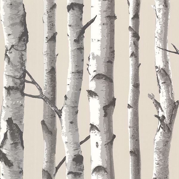 Picture of Tuxbury Beige Birch Tree Wallpaper