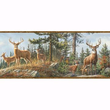 Picture of Ashmere Brown Whitetail Crest Border 