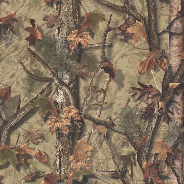 Tll01461 Brown Camo Forest Sawgrass Echo Lake Lodge Wallpaper By Chesapeake