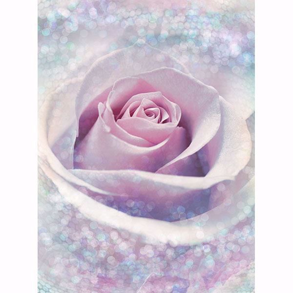 Picture of Mystic Rose Wall Mural 