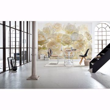 Show details for Ivory Rose Wall Mural