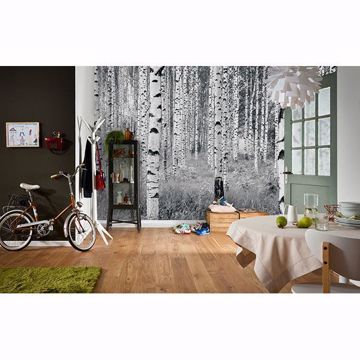 Show details for Birch Forest Wall Mural