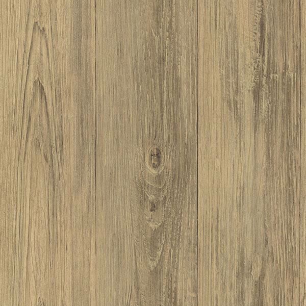 Picture of Cumberland Brown Wood Texture 