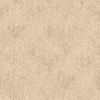 Picture of Fans Brown Texture 