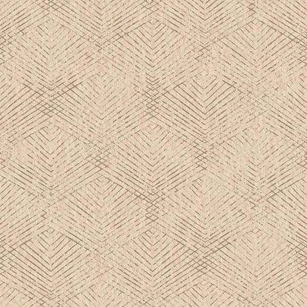 Picture of Fans Brown Texture 
