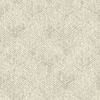 Picture of Fans Taupe Texture 