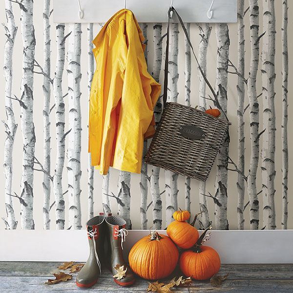 Birch Tree Peel And Stick Wallpaper by NuWallpaper