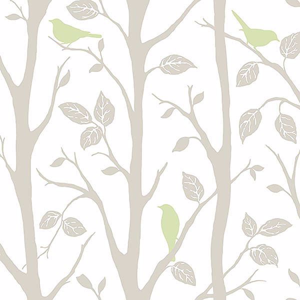 Picture of Grey and Green Sitting In A Tree Peel And Stick Wallpaper