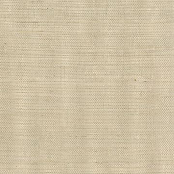 Show details for Taipo Champagne Grasscloth