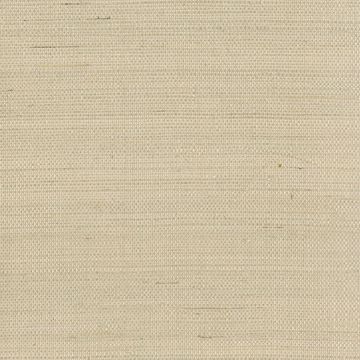 Show details for Taipo Champagne Grasscloth