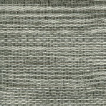 Show details for Heisoku Slate Grasscloth