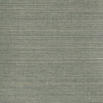 Show details for Heisoku Slate Grasscloth