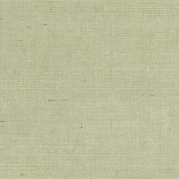 Show details for Popun Light Green Grasscloth