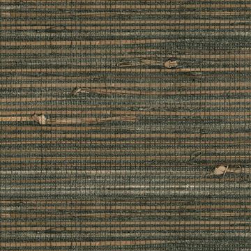 Show details for Reju Charcoal Grasscloth