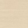 Picture of Shinko Champagne Grasscloth 
