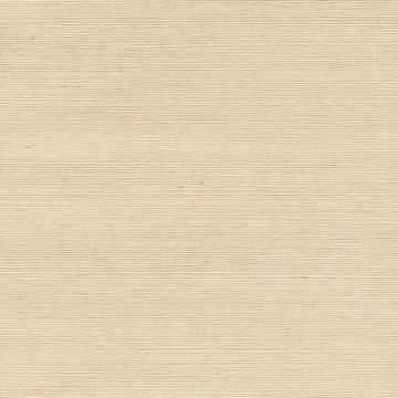 Show details for Shinko Champagne Grasscloth