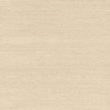 Show details for Shinko Champagne Grasscloth