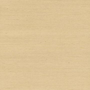 Show details for Junpo Wheat Grasscloth