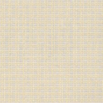 Show details for Nonen Champagne Paper Weave