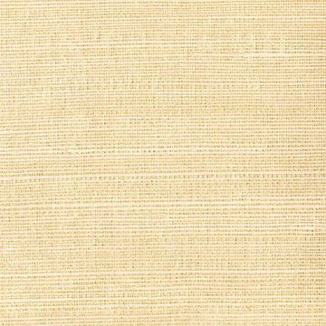 Show details for Klaudia Champagne Foil Grasscloth
